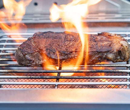 Monument Grills 24367 | Stainless Infrared Propane Gas Grill 24367