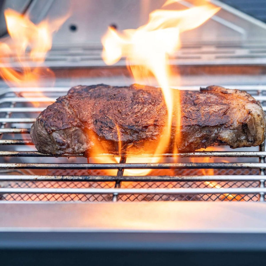 Monument Grills Stainless Infrared Propane Gas Grill 35633