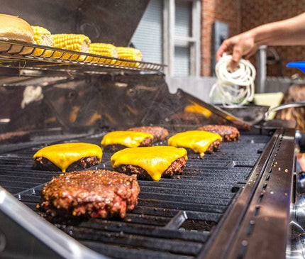 Monument Grills 41847NG | Stainless Natural/Propane Gas Grill 41847NG