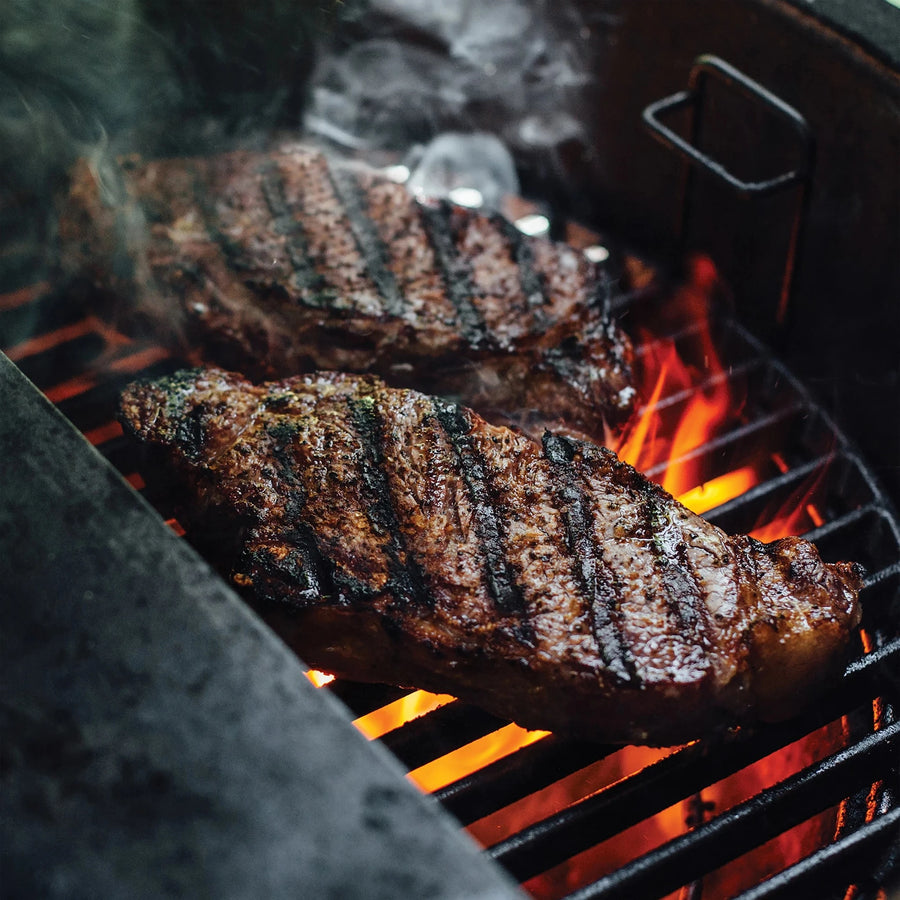 Kamado Joe KJ-WCHUNKSP 05