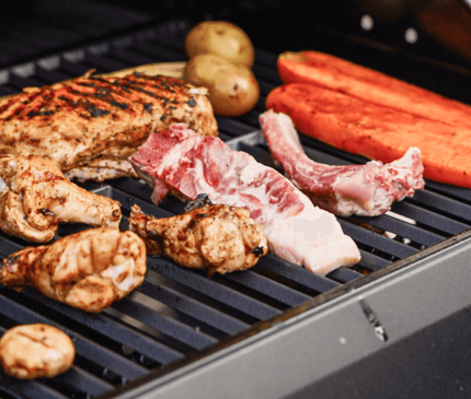 Monument Grills Mesa 220 | Black Foldable Propane Gas Grill M220
