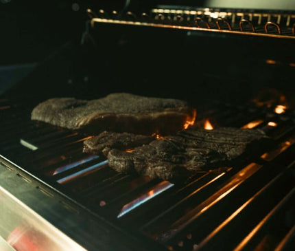 Monument Grills Stainless Smart Tech Natural/Propane Gas Grill Denali 605