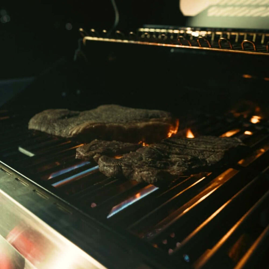 Monument Grills Stainless Smart Tech Natural/Propane Gas Grill Denali 605