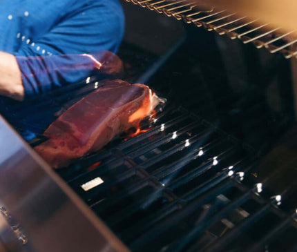 Monument Grills Stainless Smart Tech Natural/Propane Gas Grill Denali 605