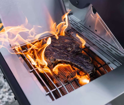 Monument Grills Stainless Smart Propane Gas Grill Denali 605Pro