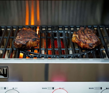 Monument Grills Stainless Smart Propane Gas Grill Denali 605Pro