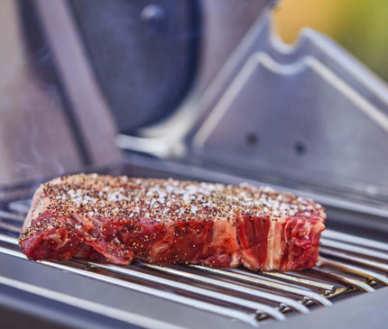 Monument Grills Stainless Smart Propane Gas Grill Denali 605Pro