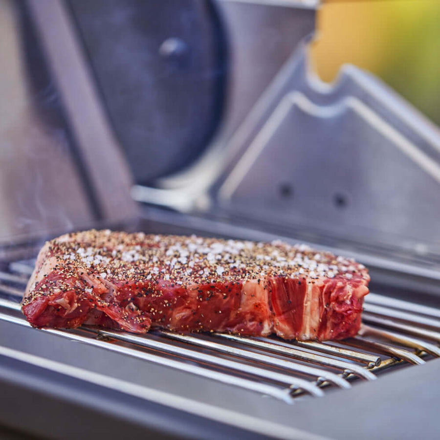 Monument Grills Stainless Smart Propane Gas Grill Denali 605Pro