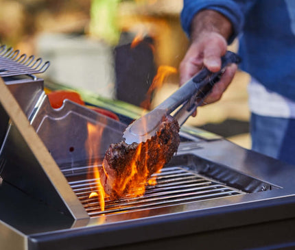 Monument Grills Stainless Smart Propane Gas Grill Denali 605Pro