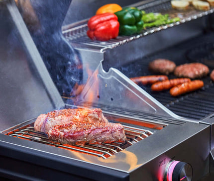 Monument Grills Stainless Smart Propane Gas Grill Denali 605Pro