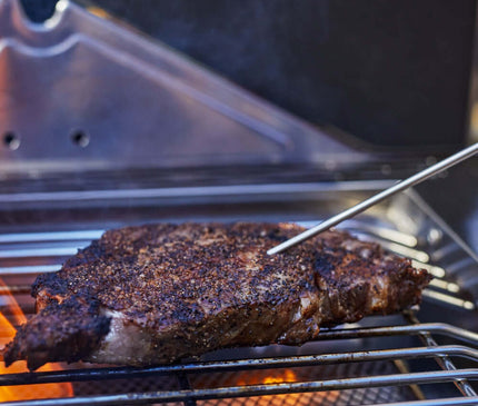 Monument Grills Stainless Smart Propane Gas Grill Denali 605Pro