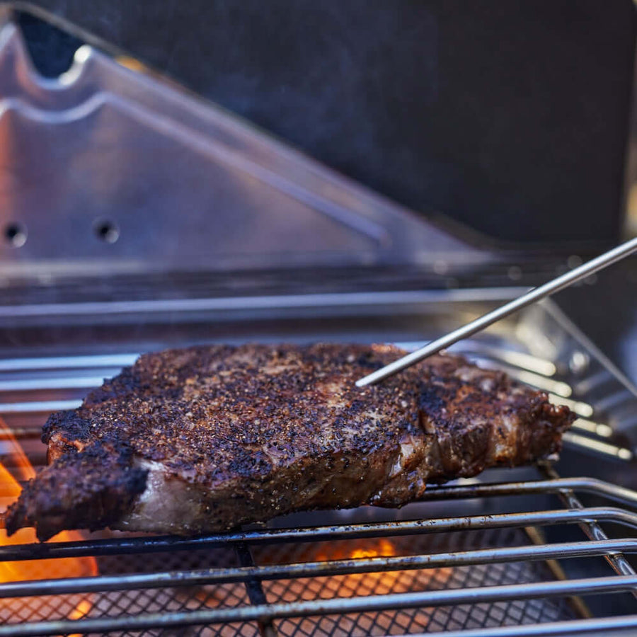 Monument Grills Stainless Smart Propane Gas Grill Denali 605Pro