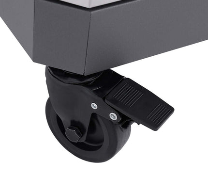 Monument Grills Eminence 405 | Chic Clearview® Smart Stainless Gas Grill E405