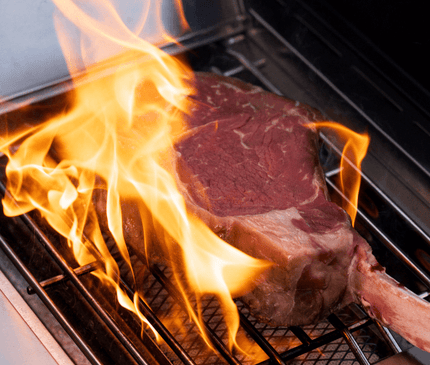 Monument Grills Eminence 405 | Chic Clearview® Smart Stainless Gas Grill E405