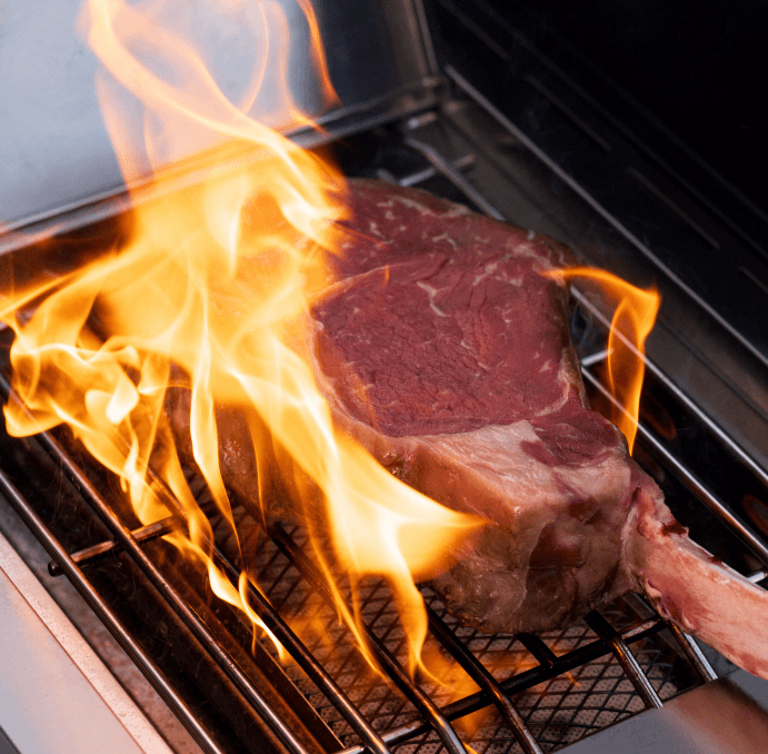 Monument Grills Eminence 405 | Chic Clearview® Smart Stainless Gas Grill E405