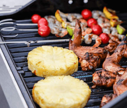 Monument Grills Mesa 200S | Foldable Stainless Gas Grill M200S