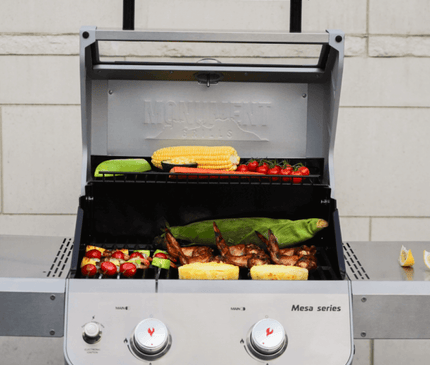 Monument Grills Mesa 200S | Foldable Stainless Gas Grill M200S