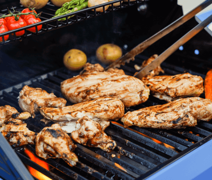 Monument Grills Mesa 200S | Foldable Stainless Gas Grill M200S