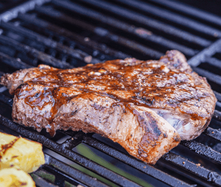 Monument Grills Stainless Propane Gas Grill Mesa 305
