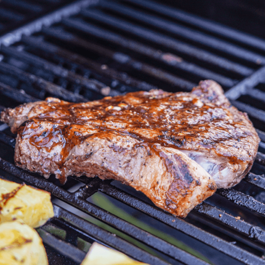 Monument Grills Stainless Propane Gas Grill Mesa 305