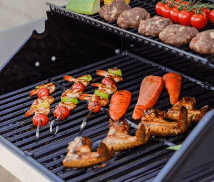 Monument Grills Stainless Propane Gas Grill Mesa 305