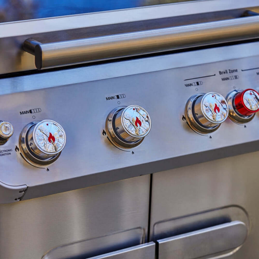 Monument Grills Stainless Propane Gas Grill Mesa 415BZ