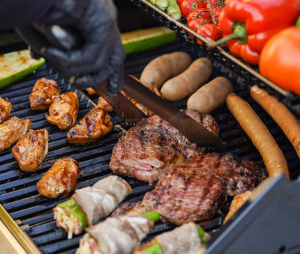 Monument Grills Stainless Propane Gas Grill Mesa 415BZ