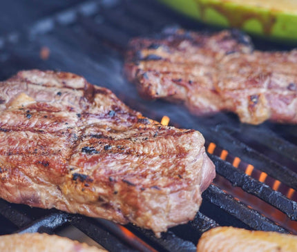 Monument Grills Stainless Propane Gas Grill Mesa 415BZ