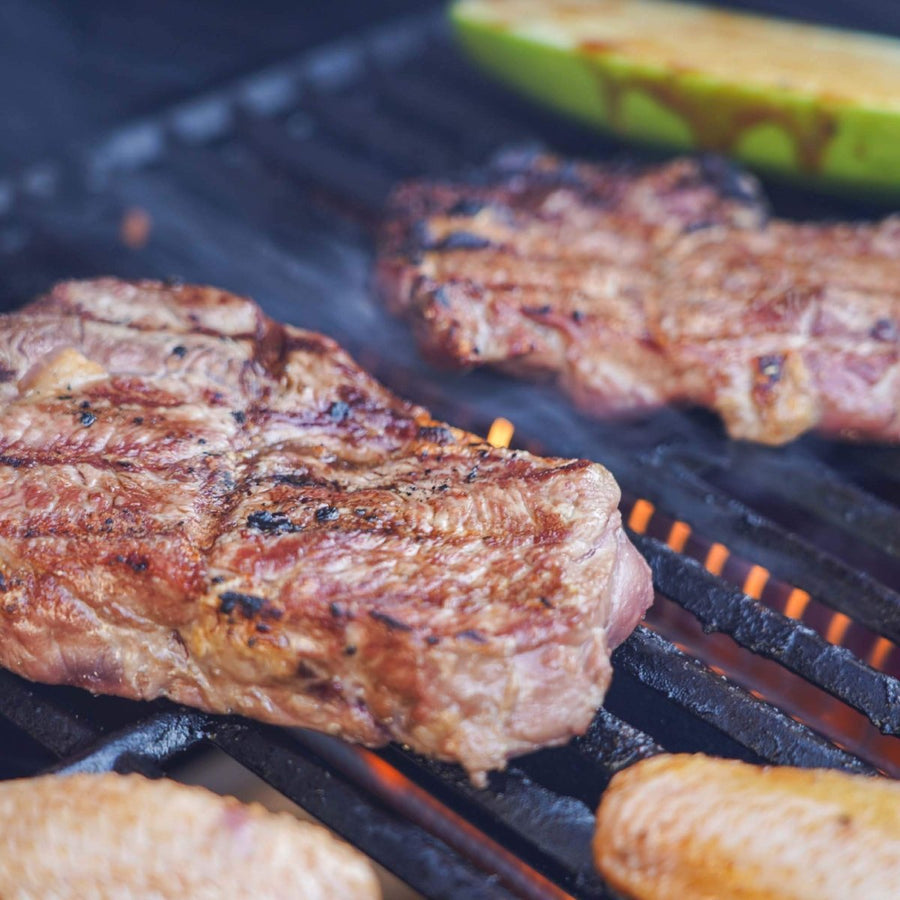 Monument Grills Stainless Propane Gas Grill Mesa 415BZ