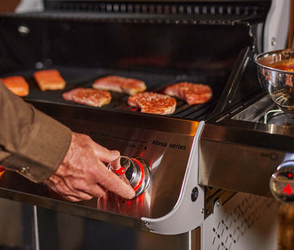 Monument Grills Stainless Propane Gas Grill Mesa 415BZ