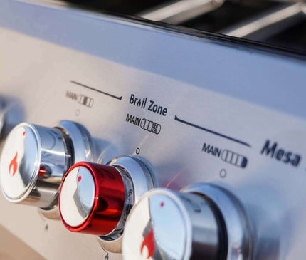 Monument Grills Stainless Propane Gas Grill Mesa 415BZ